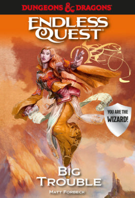 Dungeons & Dragons Endless Quest: Big Trouble (Paperback)