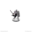 D&D Icons of the Realms: Monster Manual Collection 1