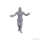 D&D Nolzur's Marvelous Miniatures: Special Edition Baldur's Gate 3 - Sarevok Anchev & Raphael
