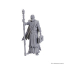D&D Nolzur's Marvelous Miniatures: Special Edition Baldur's Gate 3 - Volo & Withers
