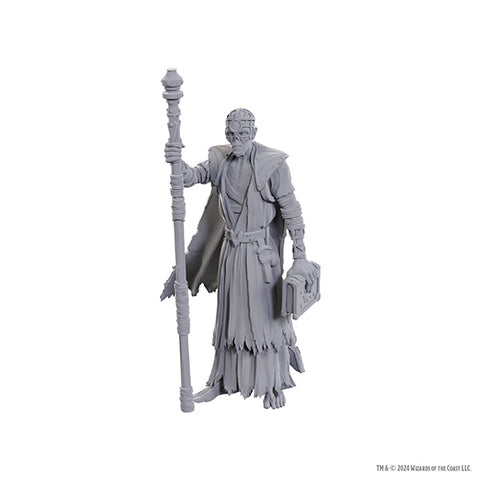 D&D Nolzur's Marvelous Miniatures: Special Edition Baldur's Gate 3 - Volo & Withers
