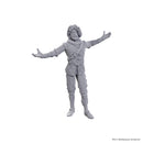 D&D Nolzur's Marvelous Miniatures: Special Edition Baldur's Gate 3 - Volo & Withers
