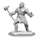 D&D Nolzur's Marvelous Miniatures: Cyclops