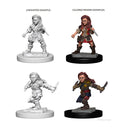 D&D Nolzurs Marvelous Miniatures: Halfling