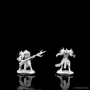 D&D Nolzurs Marvelous Miniatures: NPCs and Enemies