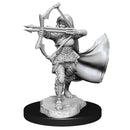 D&D Nolzur's Marvelous Miniatures: Unpainted Minis