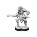 D&D Nolzur's Marvelous Miniatures: Duos