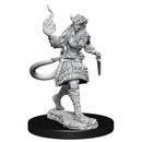 D&D Nolzurs Marvelous Miniatures: Tiefling