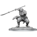 D&D Nolzur's Marvelous Miniatures: Unpainted Minis (Waves 16-26)