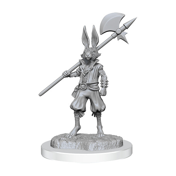 D&D Nolzur's Marvelous Miniatures: Unpainted Minis (Waves 16-26)