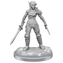 D&D Nolzur's Marvelous Miniatures: Duos