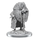 D&D Nolzur's Marvelous Miniatures: Unpainted Minis (Waves 16-26)