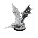 D&D Nolzur's Marvelous Miniatures: Wyrmling