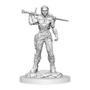D&D Nolzur's Marvelous Miniatures: Unpainted Minis (Waves 16-26)