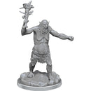 D&D Nolzur's Marvelous Miniatures: Unpainted Minis (Waves 16-26)