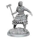 D&D Nolzur's Marvelous Miniatures: Unpainted Minis (Waves 16-26)