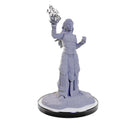 D&D Nolzur's Marvelous Miniatures: Unpainted Minis (Waves 16-26)