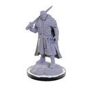D&D Nolzur's Marvelous Miniatures: Unpainted Minis (Waves 16-26)