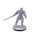 D&D Nolzur's Marvelous Miniatures: Duos