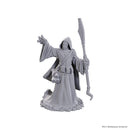 D&D Nolzur's Marvelous Miniatures: Unpainted Minis (Waves 16-26)