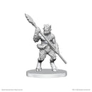 D&D Nolzur's Marvelous Miniatures: Unpainted Minis (Waves 16-26)