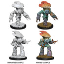 D&D Nolzurs Marvelous Miniatures: NPCs and Enemies