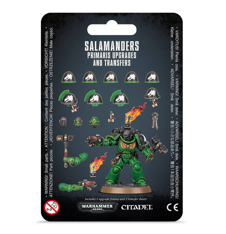 40k Salamanders: Primaris Upgrades & Transfers