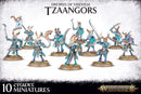 AoS Tzeentch Arcanites: Tzaangors