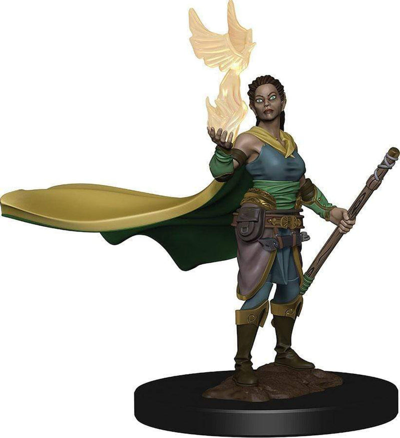 D&D Icons of the Realms Premium: Elf