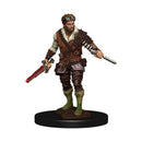 D&D Icons of the Realms Premium: Human