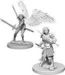 D&D Nolzurs Marvelous Miniatures: Aasimar