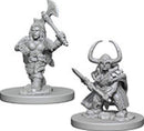 D&D Nolzurs Marvelous Miniatures: Dwarf