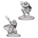 D&D Nolzurs Marvelous Miniatures: Dwarf
