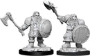 D&D Nolzurs Marvelous Miniatures: Dwarf