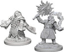 D&D Nolzurs Marvelous Miniatures: Dwarf