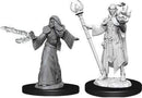 D&D Nolzur's Marvelous Miniatures: Elf