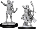 D&D Nolzur's Marvelous Miniatures: Elf