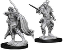 D&D Nolzur's Marvelous Miniatures: Elf
