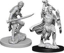 D&D Nolzur's Marvelous Miniatures: Elf