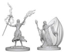D&D Nolzur's Marvelous Miniatures: Elf