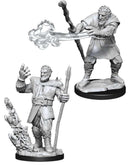 D&D Nolzur's Marvelous Miniatures: Firbolg