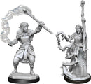 D&D Nolzur's Marvelous Miniatures: Firbolg