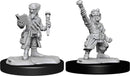 D&D Nolzur's Marvelous Miniatures: Gnome