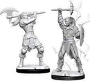 D&D Nolzurs Marvelous Miniatures: Goliath