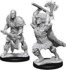 D&D Nolzurs Marvelous Miniatures: Goliath