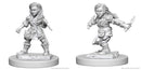 D&D Nolzurs Marvelous Miniatures: Halfling
