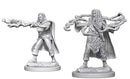 D&D Nolzur's Marvelous Miniatures: Human