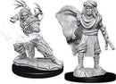 D&D Nolzur's Marvelous Miniatures: Human