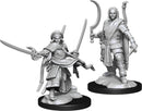 D&D Nolzur's Marvelous Miniatures: Human