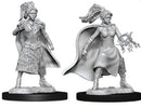 D&D Nolzur's Marvelous Miniatures: Human